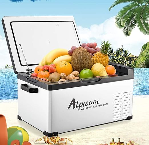 SSLL Nevera Coche con Compresor PortáTil Nevera Coche DC 12v/24v ...