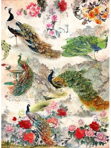 Rice Paper for decoupage~ 11,1 x 15,11 inches. Made in Russia (Peacocks and Flowers)