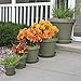 Bloem TR2460 Terra Pot Planter, 24