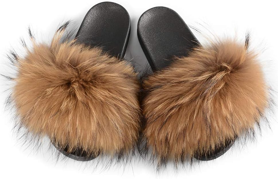 racoon slides