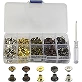 XINMEIWEN 100 Sets Chicago Screws Leather Rivets Stainless Steel Kit Double-Sided Screw for Decorate and Repair Craft Bookbin