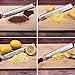 RVOKOMS Lemon Zester Tool, Professional Parmesan Cheese Grater, Premium Stainless Steel Peeler for Kitchen, Chocolate, Citrus, Vegetable, Dishwasher Safe and Upgrade Non-Slip Handle