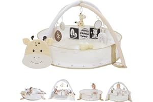 Aila+Aiden 6-in-1 XL Play Mat & Play Gym, Baby Gym, Baby Activity Gym, Sensory Exploration and Motor Skill Development Toys (Sand)