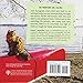 Bolt and Keel: The Wild Adventures of Two Rescued Cats