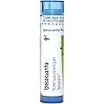 Boiron Ipecacuanha 9C for Nausea & Vomiting with Hypersalivation - 80 Pellets