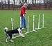 Affordable Agility Fixed 6 Pole Weave Set