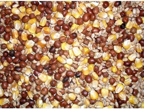 20kg Johnston and Jeff's Four Seasons Pigeon Corn Sold by Maltby's