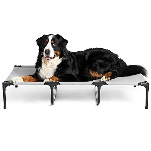 EHEYCIGA 50 Inch Elevated Dog Cot Beds for Extra Large Dogs, XL