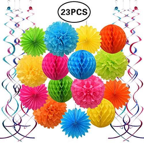 SZBAIDEKJ Colorful Paper Party Decorations, Tissue Paper Flower&Party