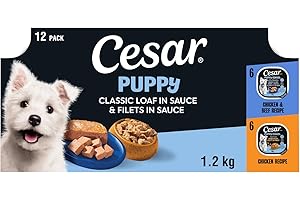 CESAR Puppy Soft Wet Dog Food Classic Loaf in Sauce Chicken & Beef and Filets in Sauce Chicken Recipe, 100g Easy Peel Trays (