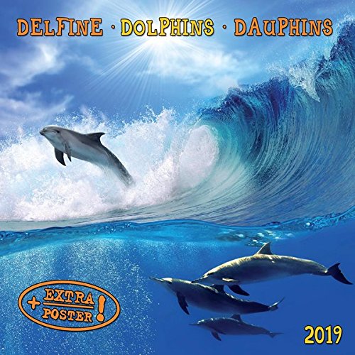Delfine - Dolphins - Dauphins 2019 Artwork by 