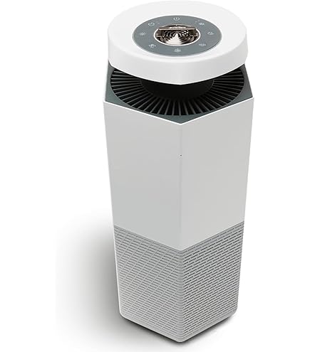 Amazon.com: Wellis Air Purifier for Home Bedroom Living Room