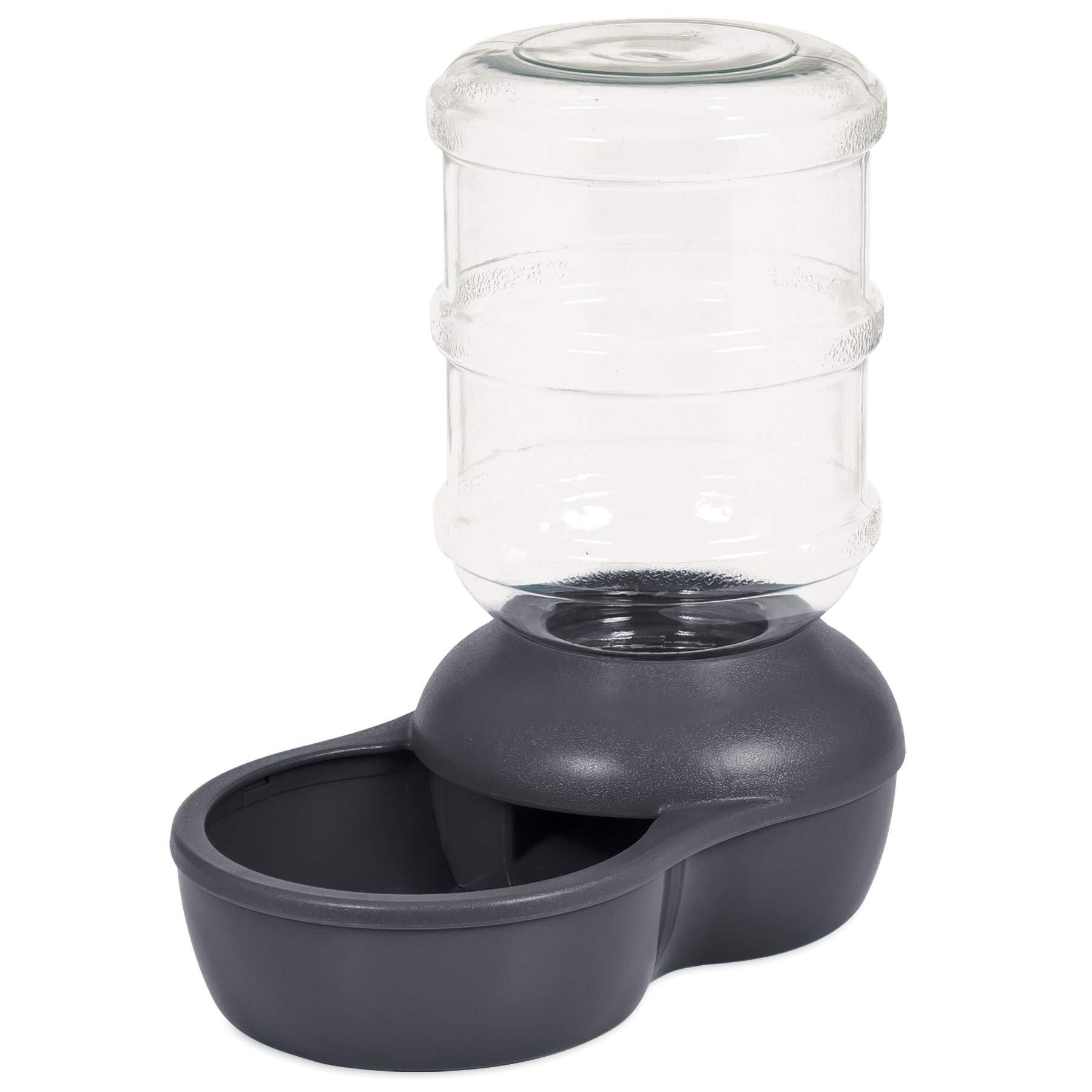 Aspen Pet Lebistro Programmable Food Dispenser Amazon Mỹ