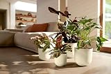 elho Jazz Round 35cm Flower Pot Large Indoor White 100% Recycled Plastic view 8