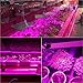 Roleadro Led Grow Light, 2020 Latest RL1000 Plant Light, High PPFD Rating Full Spectrum LED Grow Lights for Indoor Plants Veg and Bloom, Plant Growing Lamps to Cover a 2x2 ft Flowering Space