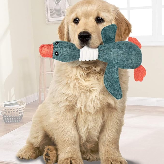 peluche indistruttibile per cani