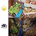 Solar 100 Pcs Colorful Glowing Stones, Glowing Garden Resin Pebbles,Garden Decor Glowing Stones Luminous Rocks for Outdoor Walkway Driveway,Luminous Stones for Plants Pot, Fish Tank,Swimming Pool etc
