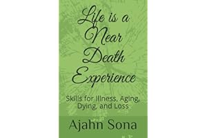 Life is a Near Death Experience: Skills for Illness, Aging, Dying, and Loss