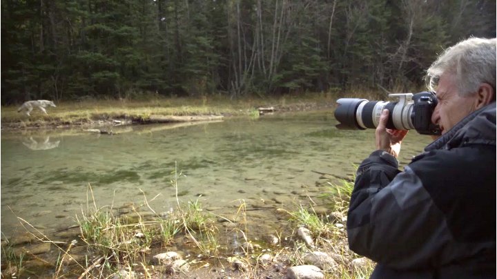 6 Canon+Mark+Digital+Camera+Body