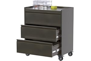 Reemoon Metal Garage Storage Cabinet with Wheels, Rolling Tool Chests & Cabinets with 3 Drawers, Retro Color-Required Assembly