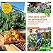 Mon petit jardin en permaculture : Durable, esthétique et productif ! by 