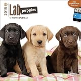 Lab Puppies 2015 Small Wall Calendar