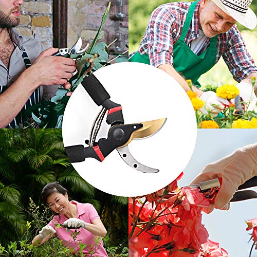 image for EONLION Pruning Shears, 8 Inch Professional Sharp Bypass Garden Shear