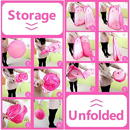 6 Papillon+Princess+Toddler+Carrying+Outdoor