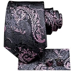 Hi-Tie Silk Black and Pink Paisley Necktie and