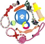 Wefine Puppy Chew Toys 100% Natural Cotton Rope for Small Medium Dogs 10 PCS view 1