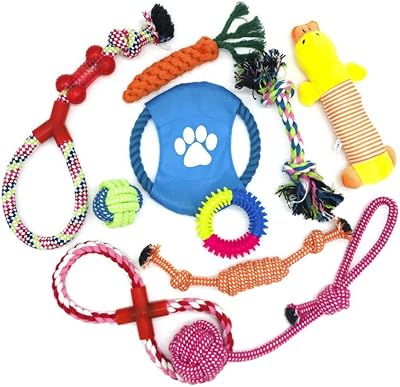 Wefine Puppy Chew Toys 100% Natural Cotton Rope for Small Medium Dogs 10 PCS