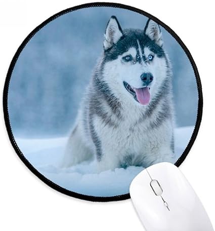 Diythinker Husky Chien Neige Animal Image Ronde