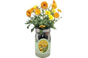 Environet Hydroponic Calendula Growing Kit, Self-Watering Mason Jar Garden Starter Kit Indoor, Grow Calendula from Organic Seeds
