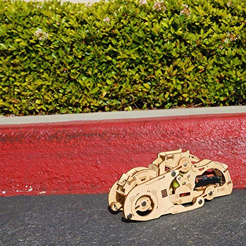 DIY Leaping Vehicle Kit - 3D Wooden Puzzle Mechanical STEM Toy - Build It Yourself Robotics Kit