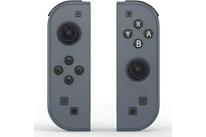 Wzygdzsw Controller for Switch, Replacement for Wireless Controllers Support Vibration/6-Axis Gyroscope and Wake-up Function