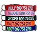 GoTags Personalized Dog Collars, Custom Embroidered Pet ID, Available in Soft Leather with Rounded Edges for Comfort Fit or Woven Nylon with Snap Closure Buckle, Great Alternative to Pet Tags
