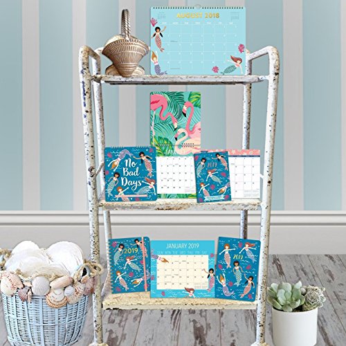 Orange Circle Studio 2019 On-Time Weekly Planner, August 2018 - December 2019, Potpourri