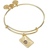 Alex and Ani Harry Potter Acceptance Letter Charm Bangle