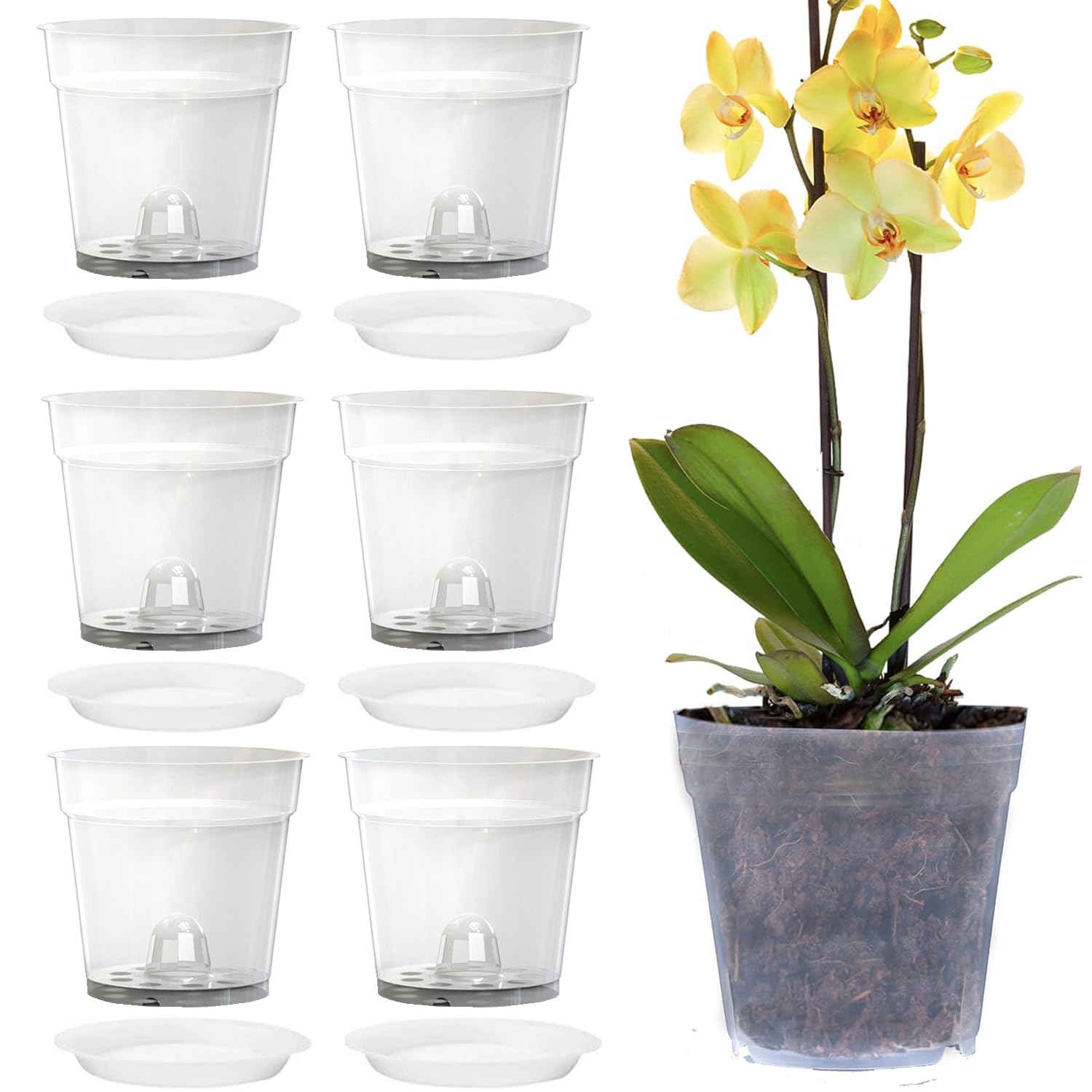 Voarge Pack of 6 Transparent Orchid Pots, Plant Pots with Holes and Saucers Orchids for Indoor Outdoor Balcony Desk