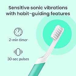 Quip Sonic Toothbrush for Adults with Timer