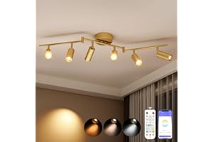 Hengsense 6 Light Heads Gold Track Lighting Kit, 36W CCT & Brightness Dimming, Modern LED Ceiling Light Fixture with Flexible Rotatable Heads, APP/Remote/Alexa Control, Gold Kitchen Light Fixture