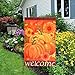 AerWo Welcome Pumpkin Fall Garden Flag 12“×18”, Double-Sided Decorative Fall Autumn Harvest Yard Flag (Pumpkin, Sunflower & Welcome)