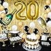 Gold 20th Birthday Party Decorations Supplies, Gold Foil Fringe Curtains Backdrop Props Champagne Bottle Wine Glass Balloons Decoration for Bachelorette Graduation Anniversary Ceremony
