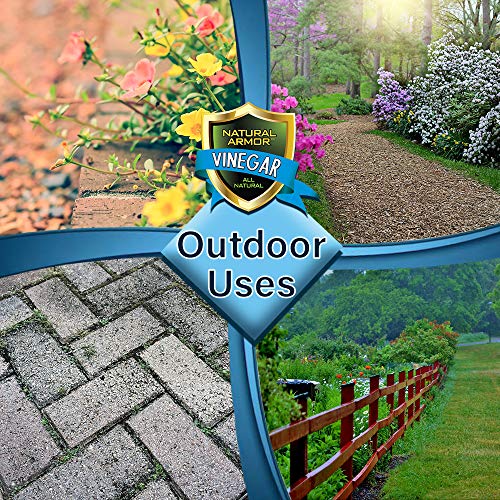 20% Vinegar Pure Natural & Safe Industrial Strength Concentrate for Home & Garden & Literally Hundreds of Other Uses - 4X Stronger Than Regular Vinegar (128-Ounce Gallon Refill)