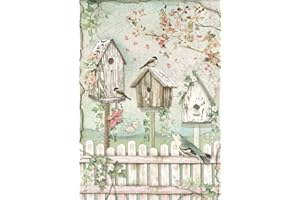 STAMPERIA INTERNATIONAL, KFT RICE PAPER PACK A4 NESTS