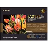 MUNGYO Professional Pastel Paper Pad A4 Size for Oil Pastel, Dry Pastel 30 Sheets (Dark Assorted)