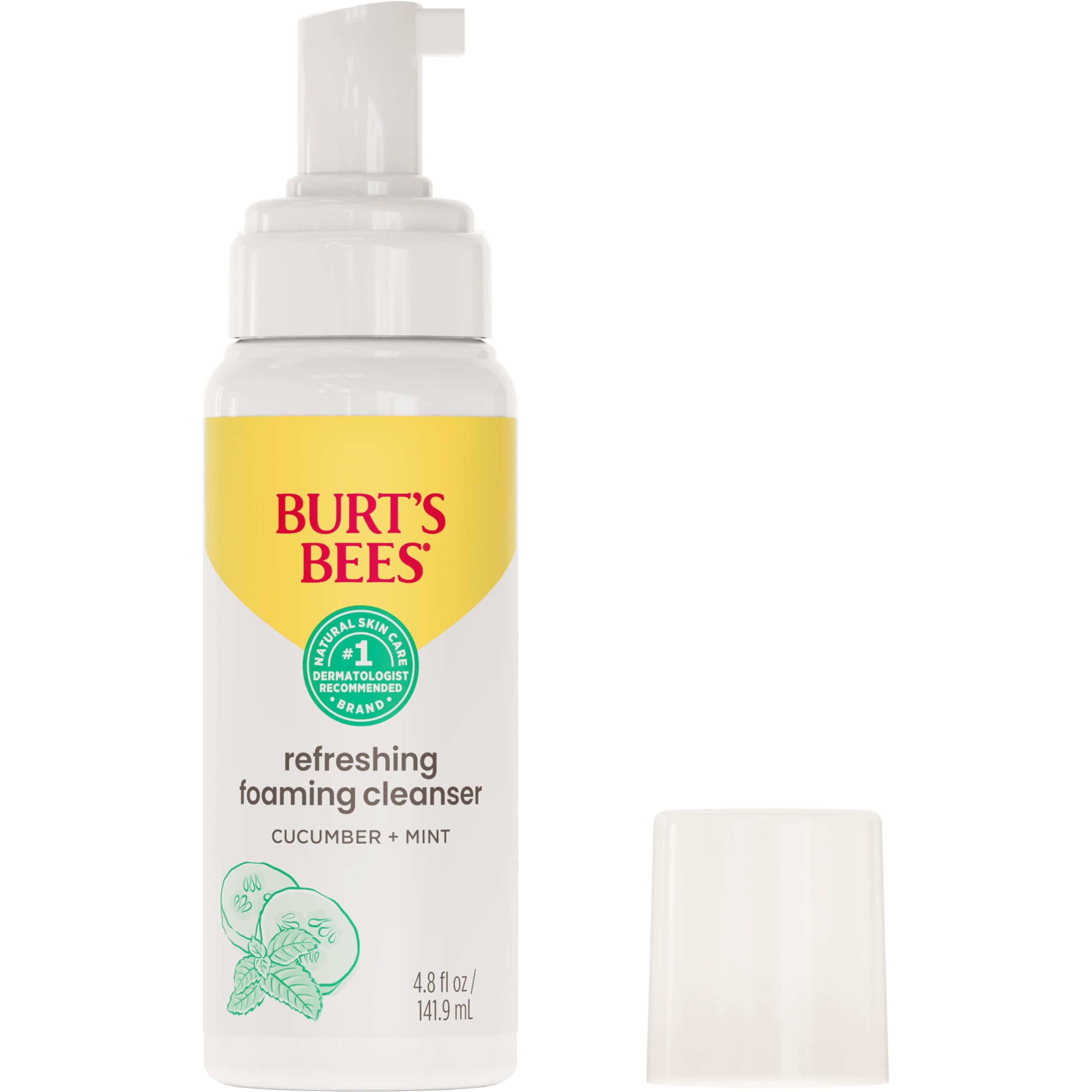 Burt's Bees Skin Nourishment Gentle Foaming Cleanser, 4.8 oz