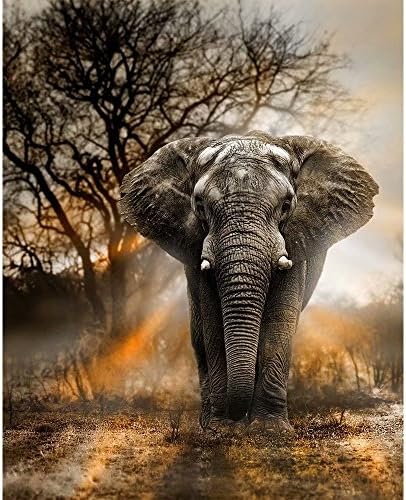 Handser Diamond Painting Full Drill 5D DIY Elephant Handmade 5D Embroidery Arts Cross Stitch Mosaic Decor Gift(Picture Size:11.8x15.3inch)