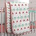 Carousel Designs Coral and Teal Arrow 3-Piece Crib Bedding Set