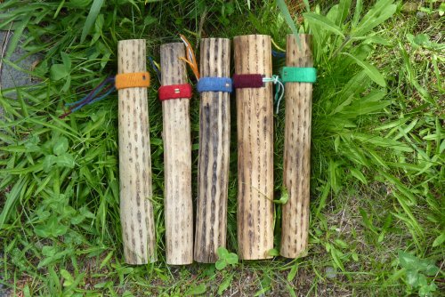 Cactus Rainstick / Shaker - Small ~ 14"-15"